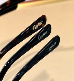 Picture of Cartier Optical Glasses _SKUfw53680044fw